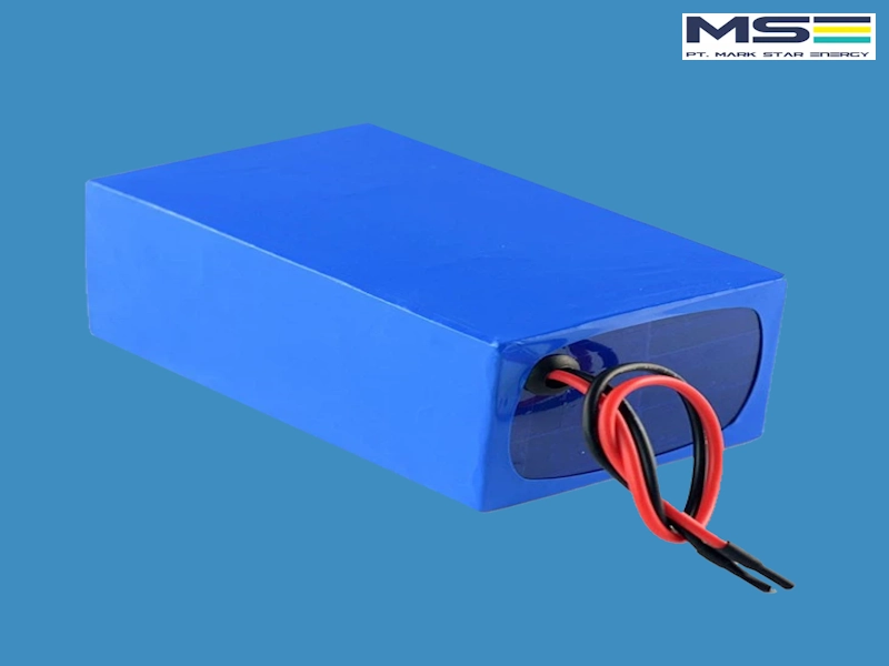 LiFePO4 Battery Pack 48V Series untuk Industrial dan EV