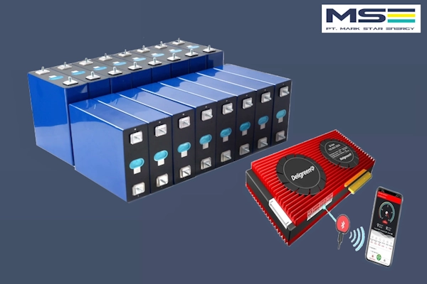 LiFePO4 Battery Pack